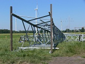 P1000749.jpg
